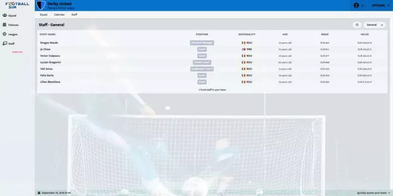 Pro Football Sim  2012  online game