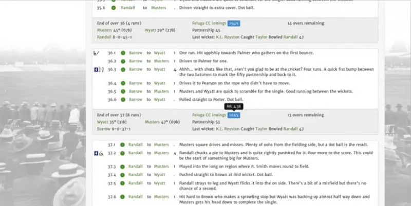 Cricket Championship  2003  online game