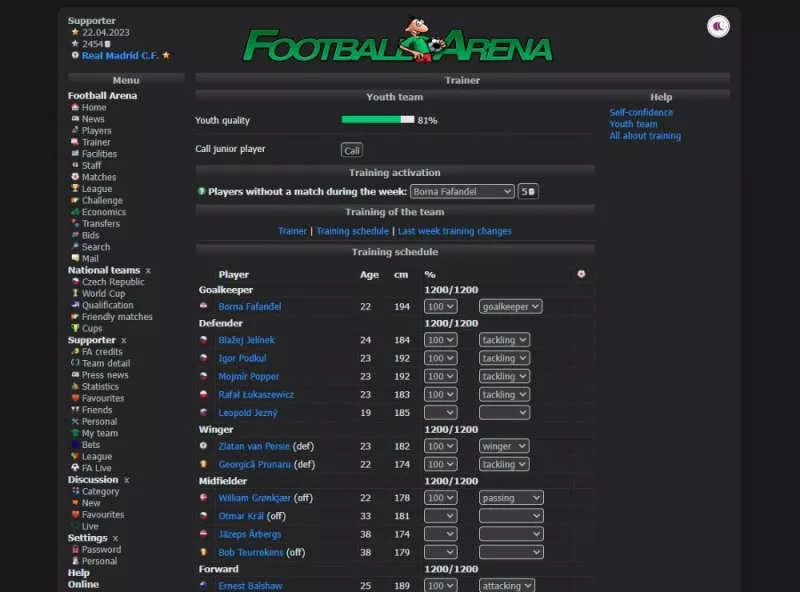 Football Arena  2002  online game